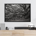 Black & White Oak Tree Canvas Print